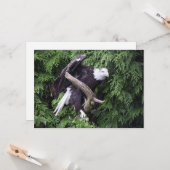 緑に丸められたハゲのイーグル – フラットグリーティングカード カード (正面/裏面インサイチュ)