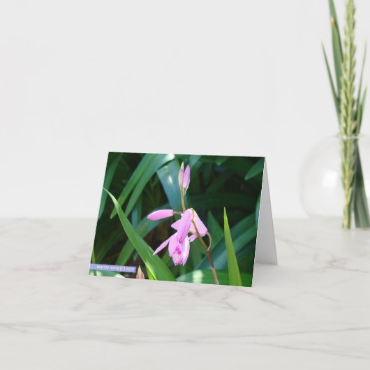 緑に対するピンク カード (正面)