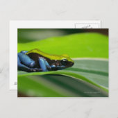 緑に覆われたマンテラ ポストカード (正面/裏面)