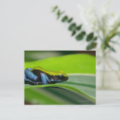 緑に覆われたマンテラ ポストカード (スタンド正面)