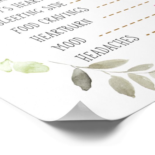 緑のかぼちゃ老妻の物語がジェンダーを明かす ポスター (角)