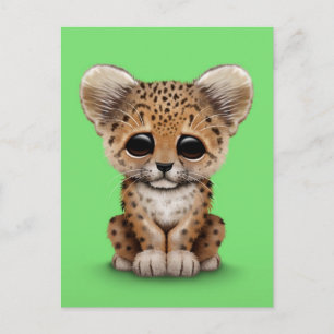 緑のかわいいベビーのヒョウカブス ポストカード