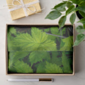 緑のつる植物 薄葉紙 (ギフト)