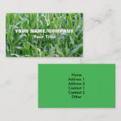 緑のとうもろこし畑の農業 名刺 (正面/裏面)