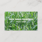 緑のとうもろこし畑の農業 名刺 (正面)