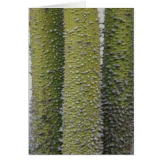 緑のとげのある木の幹
