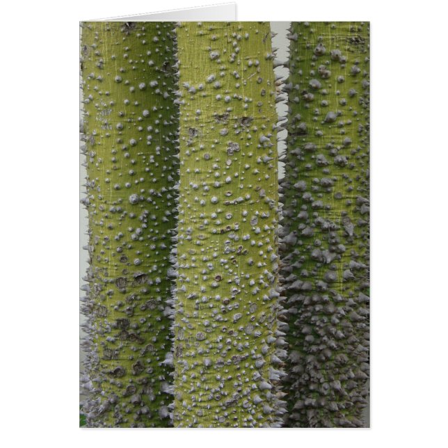 緑のとげのある木の幹 (正面)