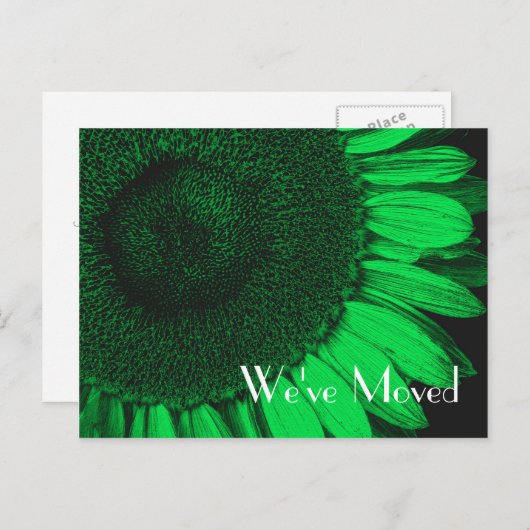 緑のひまわり新住所フローラはがき 案内ポストカード (正面/裏面)