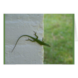 緑のぶら下がったトカゲ