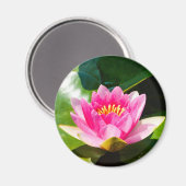 緑のを持つ美しいピンクの水葉のユリ マグネット (正面/裏面)