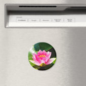 緑のを持つ美しいピンクの水葉のユリ マグネット (インサイチュ (食洗機))