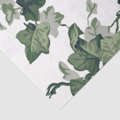 緑のアイビー葉のつる植物の分離 薄葉紙 (詳細)