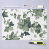 緑のアイビー葉のつる植物の分離 薄葉紙 (クラフト)