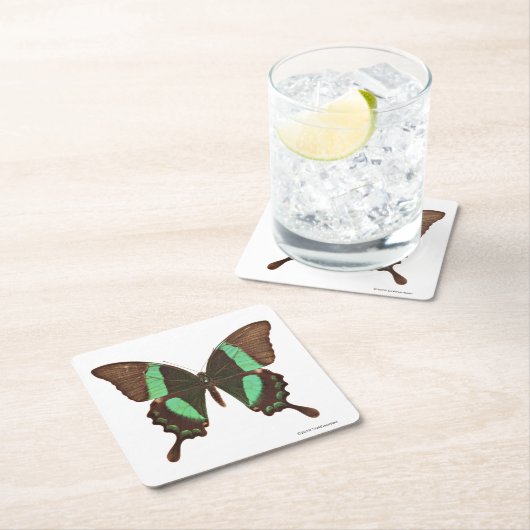 緑のアゲハチョウの蝶 スクエアペーパーコースター (インサイチュ)