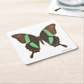 緑のアゲハチョウの蝶 スクエアペーパーコースター (アングル)