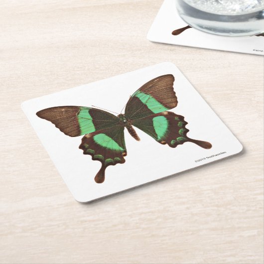 緑のアゲハチョウの蝶 スクエアペーパーコースター (アングル)