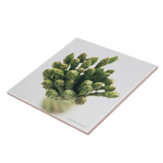 緑のアスパラガス タイル (側面)