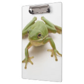緑のアマガエル クリップボード (左)