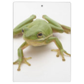 緑のアマガエル クリップボード (裏面)