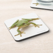 緑のアマガエル コースター (左側)