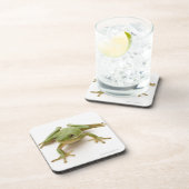 緑のアマガエル コースター (右側)