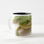 緑のアマガエル ツートーンマグカップ (正面左)