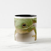 緑のアマガエル ツートーンマグカップ (中央)
