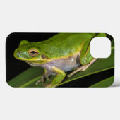 緑のアマガエル(cinereaアマガエル属) 2 Case-Mate iPhoneケース (裏面 (横))