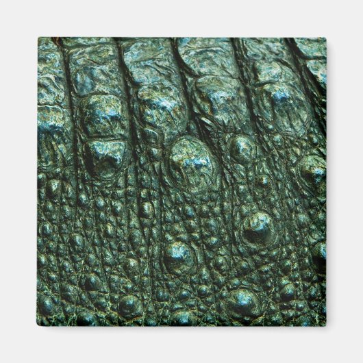 緑のアリゲータースキンテクスチャ マグネット (正面)