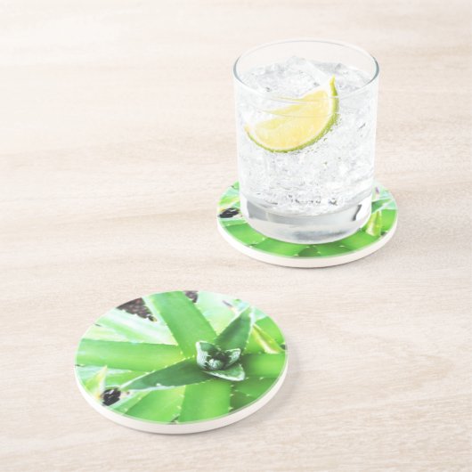 緑のアロエ コースター (側面)