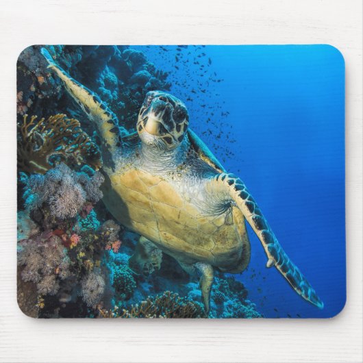 緑のウミガメ|の紅海 マウスパッド (正面)