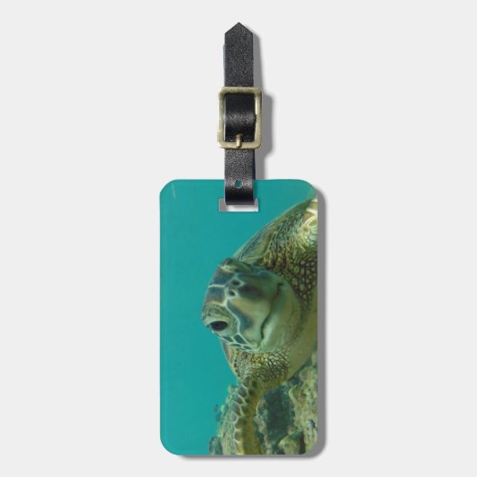 緑のウミガメ ラゲッジタグ (正面縦)