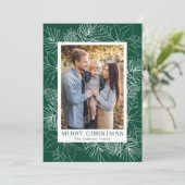 緑のエレガントポインセチアと松の円錐写真 シーズンカード (スタンド正面)