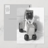 緑のエーカー ポストカード (正面/裏面)