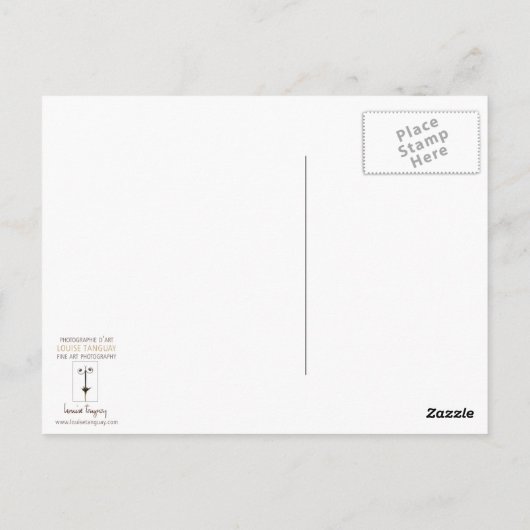 緑のオウムが鳥を愛する写真 ポストカード (裏面)