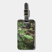 緑のオウムの荷物のラベル ラゲッジタグ (正面縦)