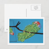 緑のオウムはがき ポストカード (正面/裏面)