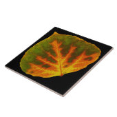 緑のオレンジ及び黄色の《植物》アスペンの葉#1 タイル (側面)