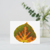緑のオレンジ及び黄色の《植物》アスペンの葉#1 ポストカード (スタンド正面)