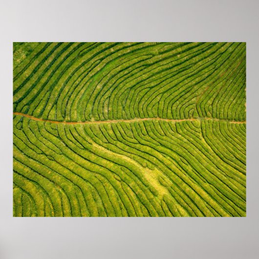 緑のオープンフィールドの空中表示 ポスター (正面)