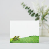 緑のカエルが葉にいる ポストカード (スタンド正面)