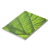 緑のカッコいい葉書 ノートパッド (回転)
