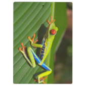 緑のカラフルジャングルツリーカエル クリップボード (裏面)