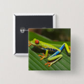 緑のカラフルジャングルツリーカエル 缶バッジ (正面&裏面)