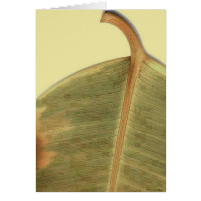 緑のカ離れード (正面)