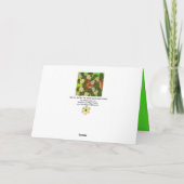 緑のキツネと葉の間葉の赤い シーズンカード (裏面)