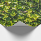 緑のキヅタの包装紙 ラッピングペーパー (角)