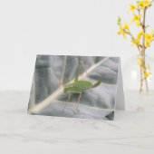 緑のクリケットマクロのグリーティングカード カード (黄色い花)