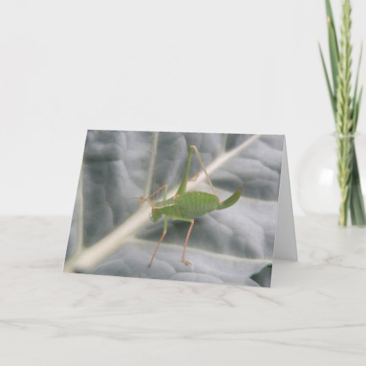 緑のクリケットマクロのグリーティングカード カード (正面)