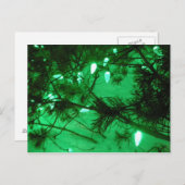 緑のクリスマスの照明 シーズンポストカード (正面/裏面)